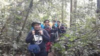 Tim pendaki memasuki kawasan hutan Kerinci yang lebat.