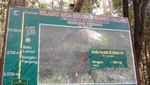 Perjuangan Menggapai Puncak Kerinci