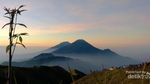 Perjuangan Menikmati Sunrise di Puncak Gunung Prau