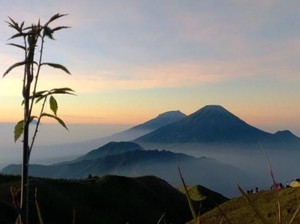 Perjuangan Menikmati Sunrise di Puncak Gunung Prau