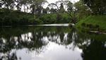 Perkebunan Teh Malabar, Bagai Permadani Hijau Raksasa