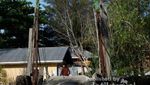 Perkenalkan, Ini Pantai Binalatung yang Indah di Kalimantan Utara