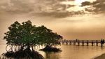 Perkenalkan, Ini Pulau Cantik di Banten