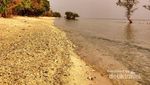 Perkenalkan, Ini Pulau Cantik di Banten