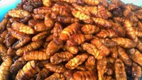 Atau kuliner ekstrem ini? Serangga goreng khas Thailand