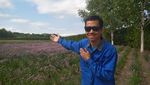 Permadani Alami ala Jepang
