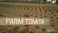 Hamparan perkebunan di Farm Tomita yang rapi dengan background beberapa pegunungan.