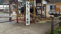 Fuji Milk Land
