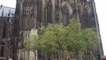 Persemayaman Tiga Raja di Katedral Koeln