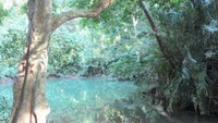 Kawasan telaga Buret didesa Sawo kecamatan Campurdarat mempunyai tradisi bernama Ulur-ulur. Ritual yang menjadi ajang mempererat tali silaturahmi warga dengan nenek moyang(Foto: Akbar Dedy Pratama)