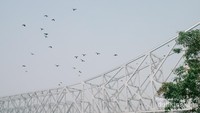 Kawanan burung-burung dara mempercantik pemandangan Jembatan Howrah