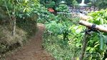 Pesona Air Terjun Sengkuang di Kepahiang