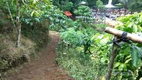 Kondisi Jalan sebelum sampai ke air terjun sengkuang