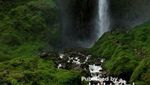 Pesona Air Terjun Sipiso-piso