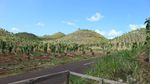 Pesona Alam Bukit Teletubbies Gunungkidul
