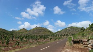 Pesona Alam Bukit Teletubbies Gunungkidul