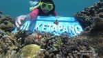 Pesona Bawah Laut Gili Ketapang yang Jarang Orang Tahu