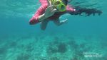 Pesona Bawah Laut Gili Ketapang yang Jarang Orang Tahu