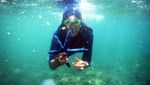Pesona Bawah Laut Pantai Bangsring, Saingannya Raja Ampat