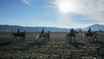 Pesona Bromo Tengger Semeru yang Selalu Bikin Rindu