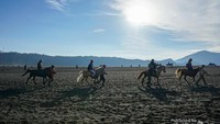 Keramah tamahan masyarakat Suku Tengger yang mengawal pengunjung mengelilingi keindahan Gunung Bromo menggunakan kuda.