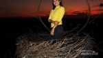 Pesona Bukit Cinta Oenali di Malam Hari