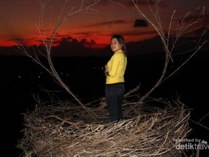 Pesona Bukit Cinta Oenali di Malam Hari