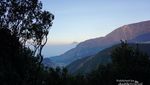 Pesona Bunga Abadi di Gunung Papandayan