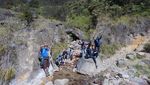 Pesona Bunga Abadi di Gunung Papandayan