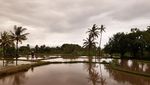 Pesona Cimaja dan Geopark Ciletuh yang Jarang Diketahui
