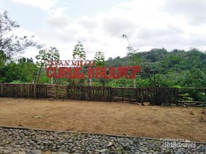 Pesona Curug Kaliurip yang Memanjakan Traveler