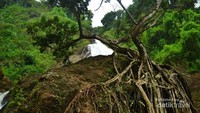 Pesona Curug Winong Wonosobo
