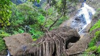 Pesona Curug Winong Wonosobo
