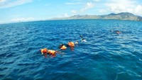 Berenang bersama Manta