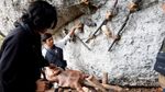 Pesona Gunung Api Purba di Yogya, Pantas Didi Kempot Terinspirasi
