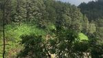 Pesona Gunung dan Danau Kelimutu Yang Tak Ada Duanya