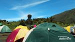 Pesona Gunung Merbabu di Jawa Tengah