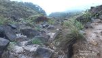 Pesona Gunung Papandayan yang Tak Pernah Pudar