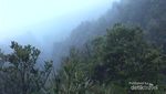 Pesona Gunung Papandayan yang Tak Pernah Pudar