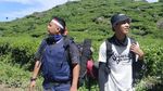 Pesona Gunung Talang, Tiga Danau dan Hamparan Kebun Teh