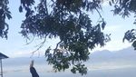Pesona Gunung Talang, Tiga Danau dan Hamparan Kebun Teh