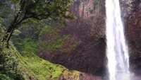 Alam sekitar air terjun Mandi Angin masih sangat alami.