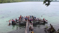Danau Kakaban yang merupakan habitat ubur-ubur jinak. Air danau ini paduan antara air hujan dan air laut yang merembes melalui pori-pori pohon di sekelilingnya.
