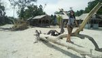 Pesona Pahawang yang Bikin Tak Ingin Pulang