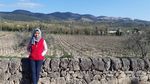 Pesona Panorama Perkebunan Sicilia di Italia