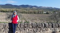 Pemandangan indah berupa kota Chiaramonte Gulfi, perbukitan gamping, pohon almond, dan perkebunan anggur.