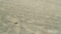 Hamparan pasir di tepi pantai