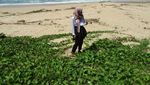 Pesona Pantai-pantai Wonogiri yang Cantik