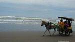 Pesona Pantai Parangtritis yang Bikin Terhipnotis