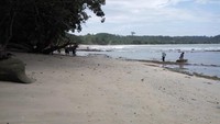 Pantai Rancababakan